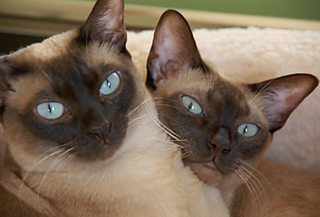 How much is too much?