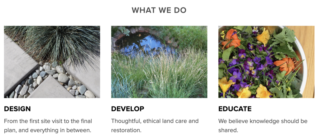 san isidro permaculture images of what we do