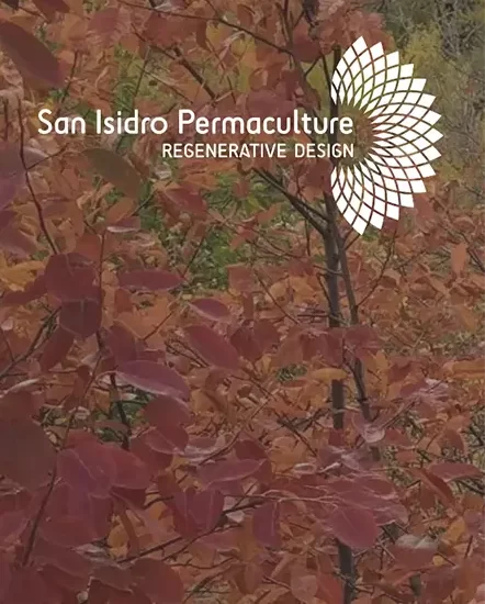 logo-sanisidro-permaculture logo san isidro permaculture
