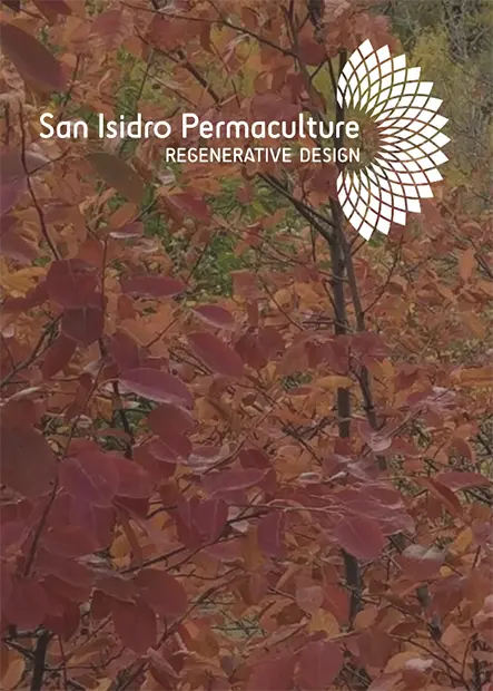 logo-sanisidro-permaculture logo san isidro permaculture